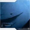 Inadvertent Drift (Original Mix) - Terminus