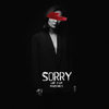 Sorry - MagSonics&Ane Flem