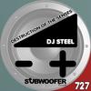 Mental Critical Point - DJ Steel