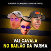 Vai Cavala No Bailão Da Parma (Explicit) - DJ DEIVÃO&DJ SATI MARCONEX&DJ Gouveia&DJ Salatiel