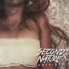 Labyrinth (Explicit) - Second Nature