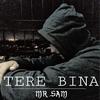 Tere Bina - Mr Sam