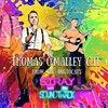 Thomas O'Malley Cat - Stray and the Soundtrack