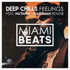 Feelings (Hartman Remix) - Deep Chills&Natania