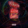 Where Love Lives (feat. Rawlo) (Explicit) - SouthE Steve&Rawlo