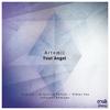 Your Angel (Krzysztof Palicki Remix) - Artemil
