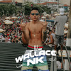 MEDLEY PROS FLUXOS 01 (Explicit) - Dj Wallace Nk&MC K9&MC Fanny