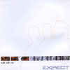 Walk with Me - Expect