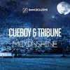 Moonshine (Radio Edit) - Cueboy&Tribune