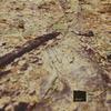 Mosquito Center (Original Mix) - Moom