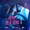 完美攻略 (伴奏) - 喜上眉梢&贾静雅