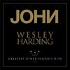 Satellite Of Love (feat. Lou Reed & Rob Wasserman) - John Wesley Harding&Lou Reed&Rob Wasserman