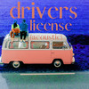 Drivers License (Acoustic) - Elise Lieberth