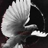Feeling - Visla
