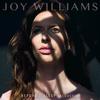 We Can Never Go Back (Acoustic) - Joy Williams