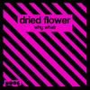 Why What - Dried Flower