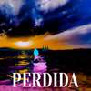 Perdida - Blokecon&David Marley