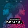 Wanna Rave (Radio Edit) - Enrico D'Amico