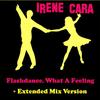 Flashdance, What a Feeling (Extended Mix) - Irene Cara