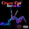 She's So Bad (Explicit) - Crazy Cat