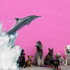 Dolphin (Explicit) - Connor Evans