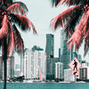 Welcome to Mellow Miami - KifferKalle