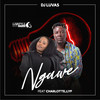 Nguwe(feat. Charlotte_Lyf) - DJ Luvas&Charlotte_lyf