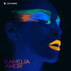 Amor (Studio 66 Remix) - Kamelia&Adina Camelia Hora&George Hora