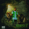 Jungle (Explicit) - Vibez