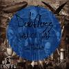 Spoony Fly (Original Mix) - Dubfluss