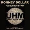 House Beach - Ronney Dollar