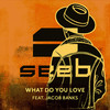 What Do You Love - Seeb&Jacob Banks