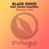 Thank You (KqueSol Remix) - Black Sonix&KqueSol&Selina Campbell