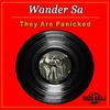 They Are Panicked (Original Mix) - Wander Sa