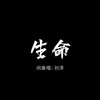 生命 - 刘洋