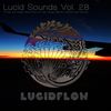 Lucid Sounds Vol. Twenty Eight Deep Flow - Mrs. Robot