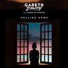 Calling Home - Gareth Emery&Sarah de Warren