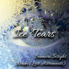 Ice Tears - Seemore Insight&Nada Saheb&Lost Astronauts