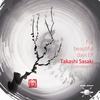 For Beautiful Days (Original Mix) - Takashi Sasaki&Converge+