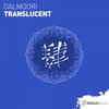 Translucent (Original Mix) - Dalmoori