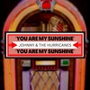 You Are My Sunshine - Johnny and The Hurricanes