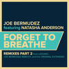 Forget To Breathe (LeSonic Remix Instrumental) - Joe Bermudez&Natasha Anderson&LeSonic