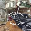 Sandman (Explicit) - Harvey Twain
