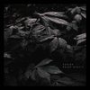 Rainy Nights - Azaleh