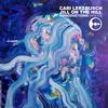 Freedom for Free - Cari Lekebusch