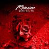 Love You So - Romaine