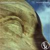 Incoming Swell - Thomas Evans
