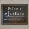 Sfortuna(feat. maggio & Tanca) - I Botanici&Maggio&Tanca&Gianmarco Ciani&Gaspare Vitiello&Antonio Del Donno&Alberto Guidetti