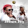 WHAT SHAWA SAY (feat. CECILIA MARFO) - Jj Gonami&Cecilia Marfo