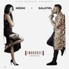 Rembourser - Salatiel&Meshi